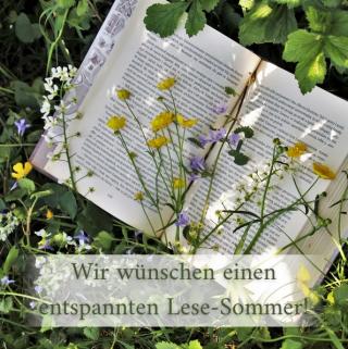 aufgeschlagenes Buch im Gras liegend